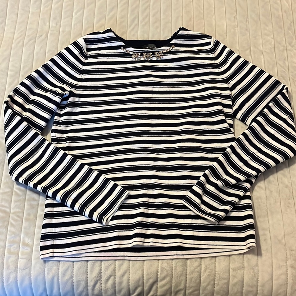Absolutely, stunning sweater by The limited.